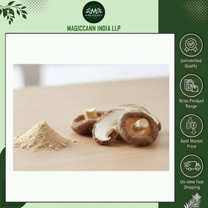 Poudre d'extrait de champignon naturel de haute qualité, qualité alimentaire, extrait par solvant, supplément de corteau de champignon pour la santé immunitaire, la force et l'énergie - Product Image 3