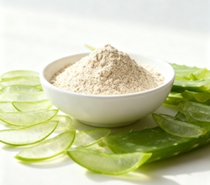 Premium aloe vera <b>extract</b> with soothing properties for versatile use in skincare, supplements, and bulk formulations - Product Image 2