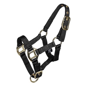 En gros, Mini-voile en nylon pour cheval miniature, réglable, avec ferrures en laiton de qualité supérieure, pour l'entraînement, OEM - Product Image 1