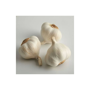 Ail frais blanc en bulbes, arôme naturel pour la cuisine et la transformation alimentaire, disponible en gros - Product Image 4