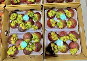 Mangosteen fresco | 100% Fruta orgánica al por mayor de Vietnam | El mejor precio y alta calidad - Product Image 2