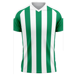<b>Men's</b> Green <b>White</b> Striped V-Neck Soccer Jersey Short Sleeve Breathable Polyester Regular Fit All Seasons Apparel - Product Image 4