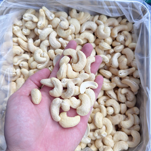 Nueces de Anacardo Listas para Enviar, Núcleos de Anacardo Vietnamitas, Kaju SANTIGO, Empaque OEM, ODM - Product Image 5