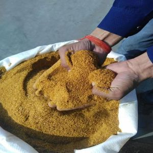 Farine de poisson biologique riche en protéines - 55-65% de farine de poisson pure pour additifs alimentaires pour porcs et animaux, origine Tamil Nadu - Product Image 6