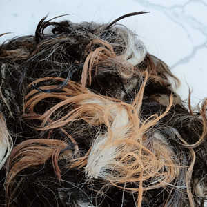 ขนหางวัวหลากสีธรรมชาติ ล้างและอบแห้งแล้ว วัสดุสำหรับงานฝีมือและทำเหยื่อตกปลา ราคาดีที่สุด - Product Image 6