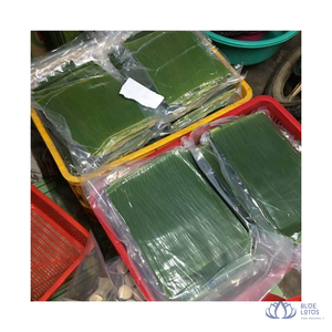 [VENTE CHAUDE] |   Feuilles de bananier surgelées IQF, qualité supérieure, emballées sous vide, pour l'emballage alimentaire et la cuisson, provenant de la ferme Blue Lotus - Product Image 4