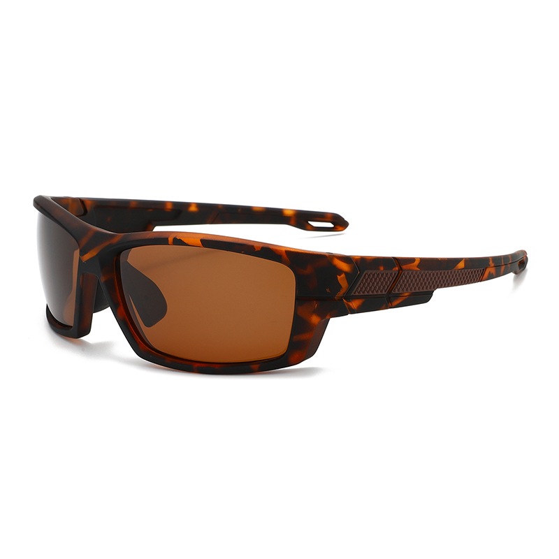 C6: Tortoise/ Brown