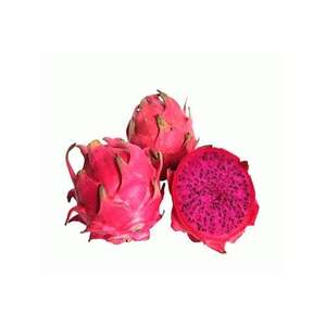 Fruta del Dragón Congelada IQF Premium |   Origen Vietnam |   Procesamiento Limpio |   Exportación a granel - Product Image 4