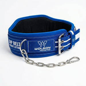 Durable Nylon Dip <b>Belt</b> with Steel Chain for Fitness Strength Training and Calisthenics <b>Exercises</b> Top Trending <b>Belt</b>. - Product Image 1