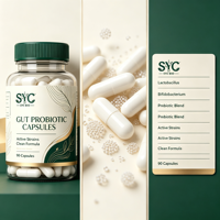 Complément Probiotique Naturel OEM pour Femmes Adultes – Santé Digestive et Défense Immunitaire Certifiée – 90 Capsules – Vente en Gros Marque Blanche