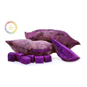 Cheap Source Frozen Purple <b>Sweet</b> Potato Pre-steamed Cooked for Canada Retail Market Direct Factory Price High Strength - Product Image 6