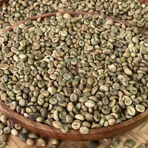 Granos de café Robusta de Vietnam de alta calidad, tamaño 16 Clean AA Plus, bolsas de PP de 60kg, bolsa personalizada de más de 90% de madurez - Product Image 3