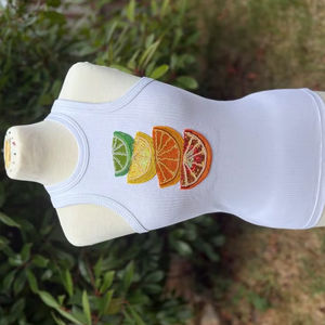 Camiseta sin mangas de estilo moderno para mujer, lisa, informal, sin mangas, del fabricante, al mejor precio. - Product Image 1