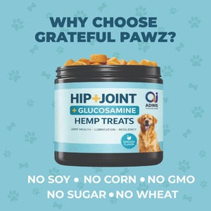ADINS International Hip Joint Glucosamine Hemp Treat saveur poulet, friandises à mâcher souples pour chiens de tous âges et de toutes races, soutien à la santé des articulations - Product Image 2