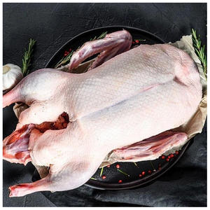 Carne de Pato Halal Fresca y Congelada de Primera Calidad para Exportación al por Mayor - Product Image 6