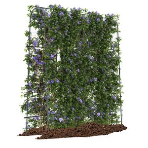 Treillis de jardin en U de 71 x 71 pouces, treillis arqué pour plantes grimpantes, clôtures et portails de qualité supérieure - Product Image 4