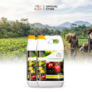 Engrais Organique Liquide 5 Litres Solution Nutritive à Libération Rapide pour Plantes Fruitières Qualité Export - Product Image 1