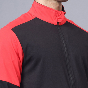 2026 Wholesale Custom Logo Hooded Streetwear Solid 100% Cotton Tracksuit <b>Men</b> High Quality Winter Fitness Wear Plus Size - Product Image 2