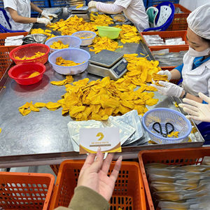 มะม่วงอบแห้งออร์แกนิก Perfect Delights ขนมขบเคี้ยวเพื่อสุขภาพสำหรับเด็กและผู้ใหญ่ - บรรจุภัณฑ์เดี่ยว - Product Image 1