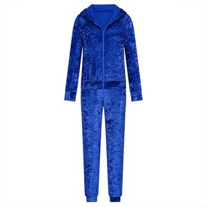 Ensemble de survêtement en velours premium pour femmes, deux pièces, sweat à capuche à fermeture éclair à manches longues et pantalon assorti, tenue décontractée d'hiver - Product Image 1