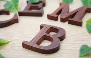 Letras del alfabeto de madera inspiradoras para la educación temprana, creación de un entorno de aprendizaje lúdico - Product Image 2