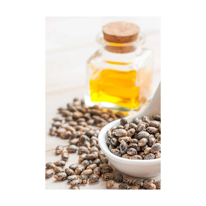 Aceite de Ricino a Precio de Fábrica Ofrecido en Grandes Cantidades para Compradores y Distribuidores Comerciales - Product Image 3