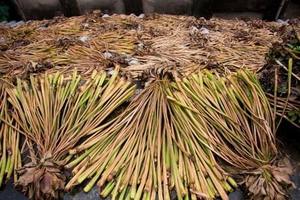 High Quality Raw Water Hyacinth Material Vietnam Fiber For Furniture Crafting - Product Image 2