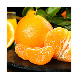 Naranja ombligo fresca/naranja mandarina fresca/naranjas - Product Image 1