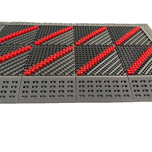 Tapis d'entrée extérieur anti-poussière antidérapant avec drainage en EVA et nylon, tapis de sol à brosses - Product Image 6