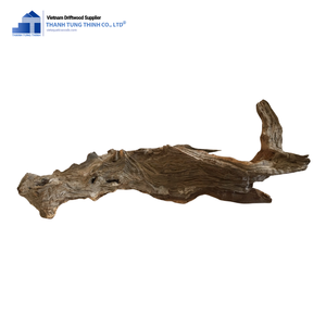 Décoration d'aquarium en bois flotté naturel Thanh Tung Thinh, forme irrégulière, écologique, bois pour aquarium en provenance du Vietnam - Product Image 1