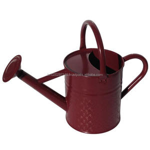 Bidon d'eau compact en métal galvanisé avec poignée ergonomique et texture rustique parfait pour les herbes succulentes d'intérieur et l'utilisation de table - Product Image 1