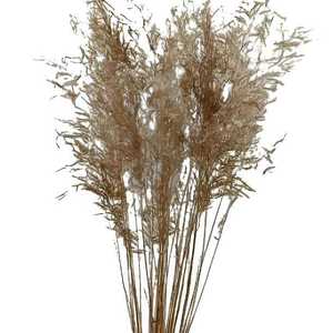 Flores Secas Cósmicas Decorativas, Hierba Natural Munny para Decoración de Bodas, Flores para el Día de la Madre y Navidad 2026 - Product Image 1