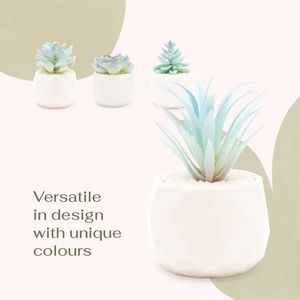 Set di Piante Succulente Artificiali Blu in Vasi di Ceramica Bianca, 4 Pezzi, Piante Finte da Interno per Ufficio e Decorazioni Natalizie per Donne - Product Image 2