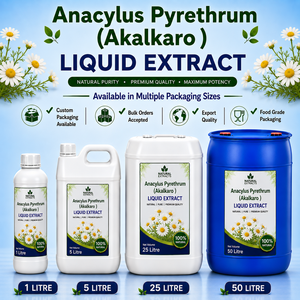 Akalkaro / Pellitory Root Liquid Extract (Tincture) | Anacyclus Pyrethrum | Pure Herbal Extract | GMP Certified - Product Image 1