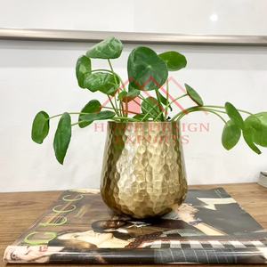 Maceta de metal dorada para interiores moderna, maceta de metal redonda decorativa para Decoración de mesa - Product Image 5