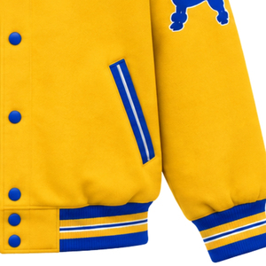 Blouson Bomber Femme Personnalisé Sigma Gamma Rho – Veste Décontractée Légère et Élégante pour Sororité Grecque – Vente en Gros Personnalisée - Product Image 6