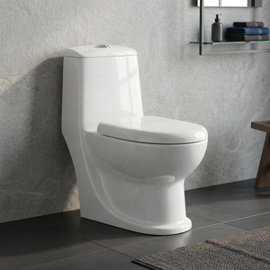 Inodoro moderno de una pieza con sifón cerámico, conjunto completo de WC, artículos sanitarios para exportación al mercado africano - Product Image 4