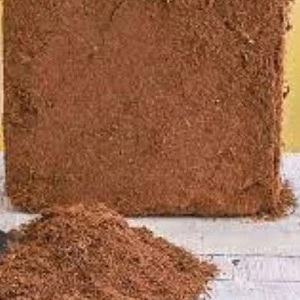 Coconut <b>Coir</b> Substrate for Hydroponic Vegetables and Flowers - Product Image 1
