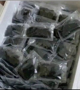 Dried Sea Grapes premium Caulerpa seaweed material for salad ingredient sushi decoration and food service Vietnam - Product Image 2