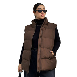 Nouveaux modèles de vestes matelassées longues à capuche sans manches pour femmes, couleur unie, gilet matelassé en coton, veste sans manches à effet bulles pour femmes - Product Image 1