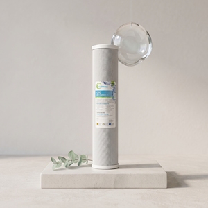 Filtre à charbon en bloc certifié NSF 42 pour purificateurs d'eau commerciaux de 10 pouces – Nouveauté 2026, Design Tendance 2026 - Product Image 1