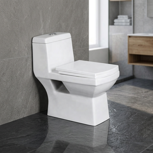 Offre Spéciale – WC Monobloc en Céramique Écologique, Cuvette de Toilette en Porcelaine pour Hôtels - Product Image 3
