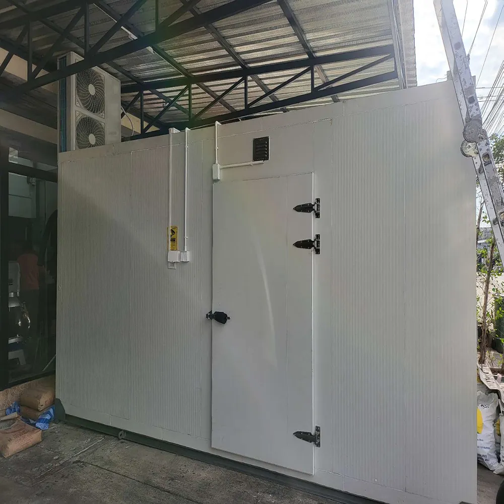 Mobile Container Cold Storage Blast Freezer Room Walk In Cooler Storage Room For Meat