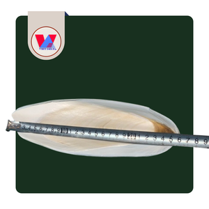 Hueso de Sepia Natural de Alta Calidad, Cortado en Trozos de 6cm, para Aves, Loros, Juguete Masticable para Mascotas, Venta al Por Mayor - Product Image 1