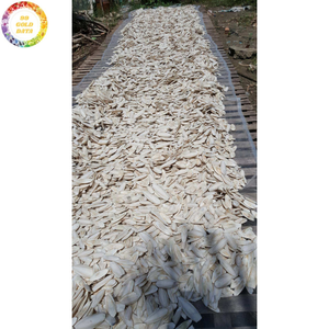 Os de Seiche Naturel Séché de Haute Qualité pour Cage à Oiseaux – Produit à Mâcher pour Perroquets, Budgerigars, Canaris et Pinsons - Product Image 3