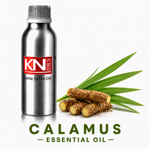 Huile Essentielle de Calamus 100% Pure de Qualité Supérieure, Fabricant en Gros, Acorus calamus Certifié Biologique, Exportateur Mondial - Product Image 1