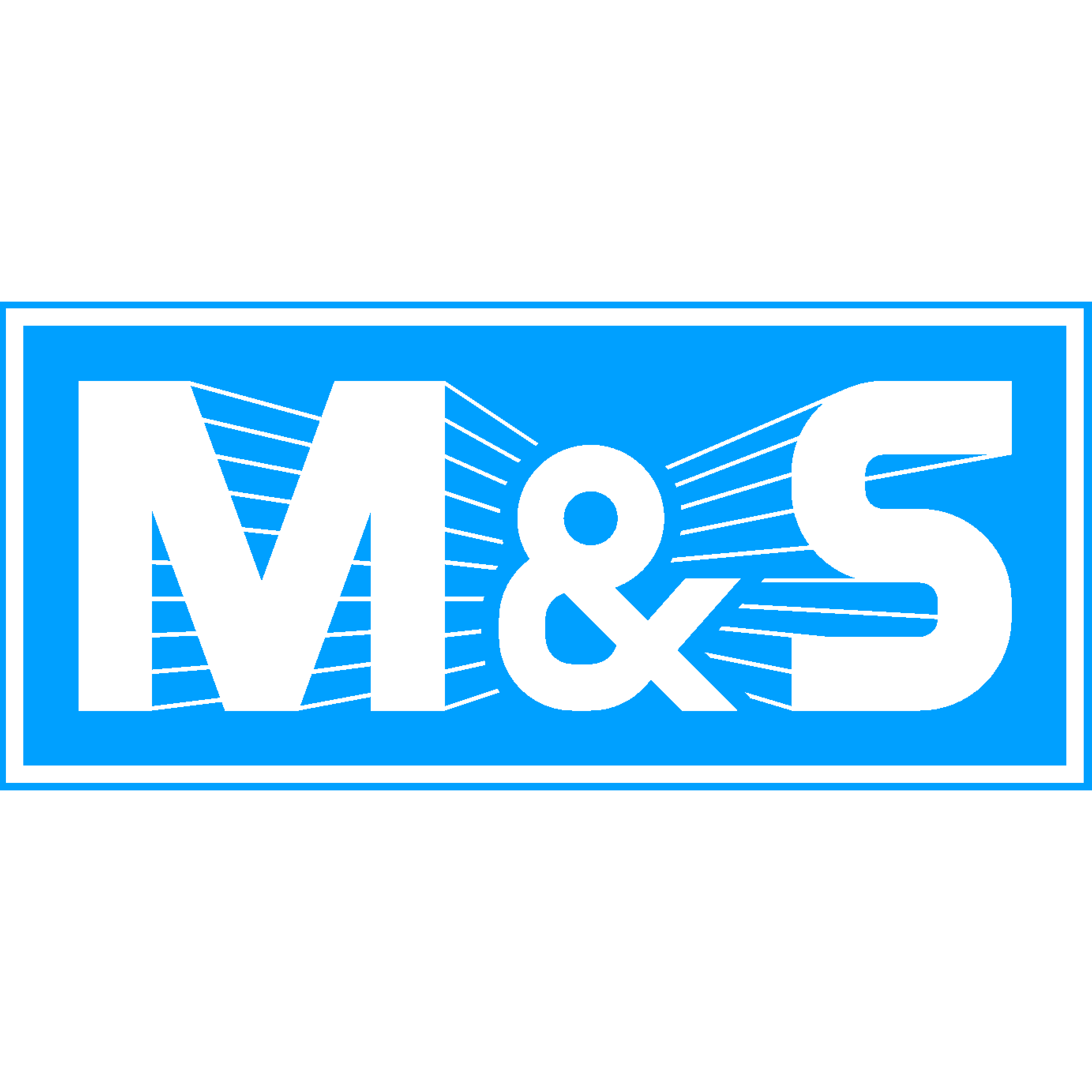 M & S Maschinenbau und Service GmbH logo
