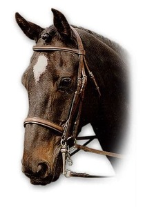 Fournisseur équestre ANNABELLE de qualité supérieure, fabricant en gros de bridons Weymouth double en cuir personnalisés pour la chasse. - Product Image 2