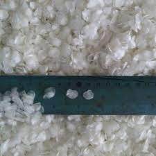 Écailles de poisson séchées décalciifiées, teneur max. 1 % / Écailles de tilapia séchées / Écailles de poisson brutes décalciifiées et blanchies / Ms.Lily - Product Image 3