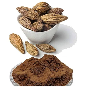 Poudre de Harad Pure en Vrac pour Formulations Herbales, Vente en Gros OEM, Poudre de Terminalia Chebula pour Capsules, Comprimés et Remèdes Ayurvédiques - Product Image 4